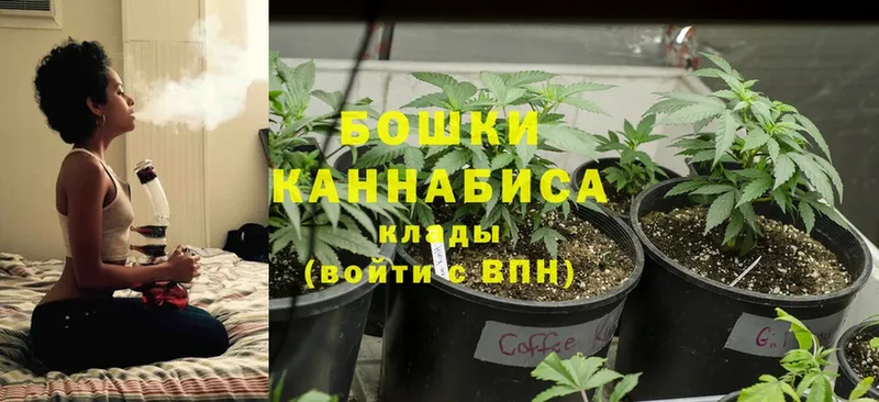 Каннабис SATIVA & INDICA  блэк спрут tor  Дно  как найти закладки 